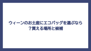 ウィーンのお土産にエコバッグを選ぶなら？買える場所と候補