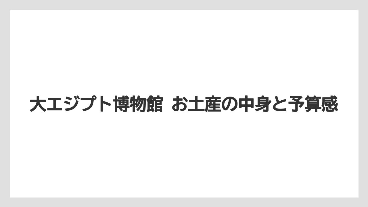 【リゾート】【宿泊】【旅】カイロ空港 お土産との違い