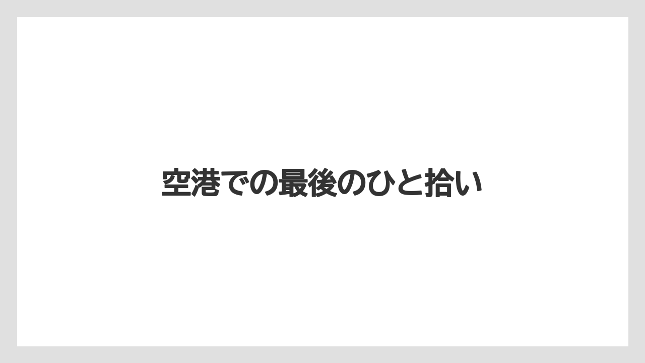 【リゾート】【宿泊】【旅】空港での最後のひと拾い