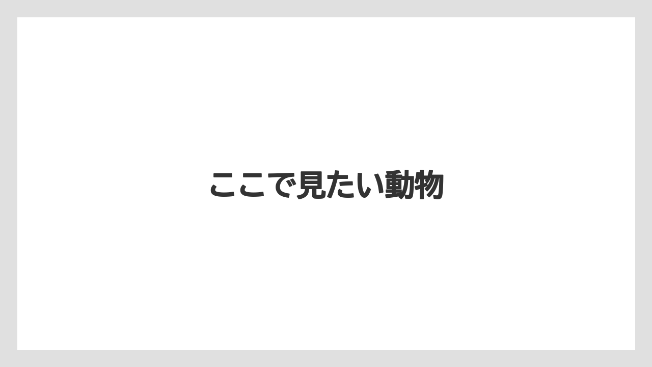 【お土産】【宿泊】【手土産】【旅】ここで見たい動物