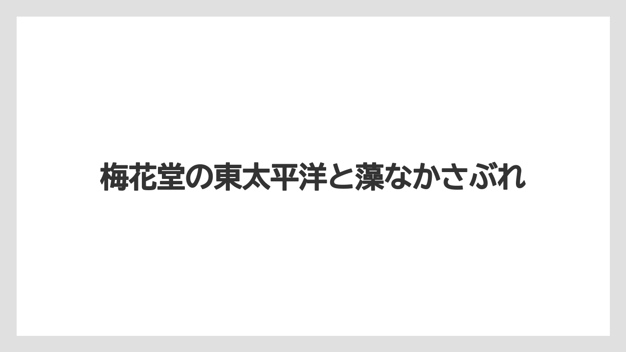 【リゾート】【宿泊】【旅】梅花堂の東太平洋と藻なかさぶれ