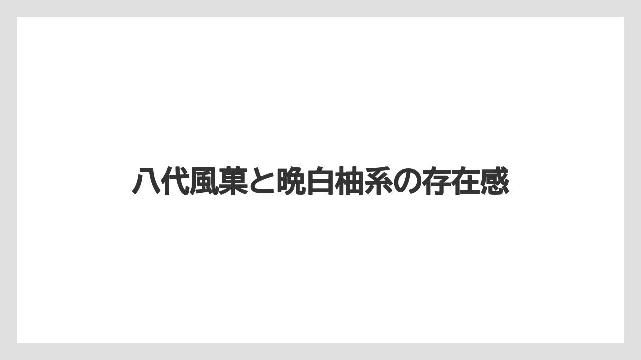 【リゾート】【宿泊】【旅】八代風菓と晩白柚系の存在感
