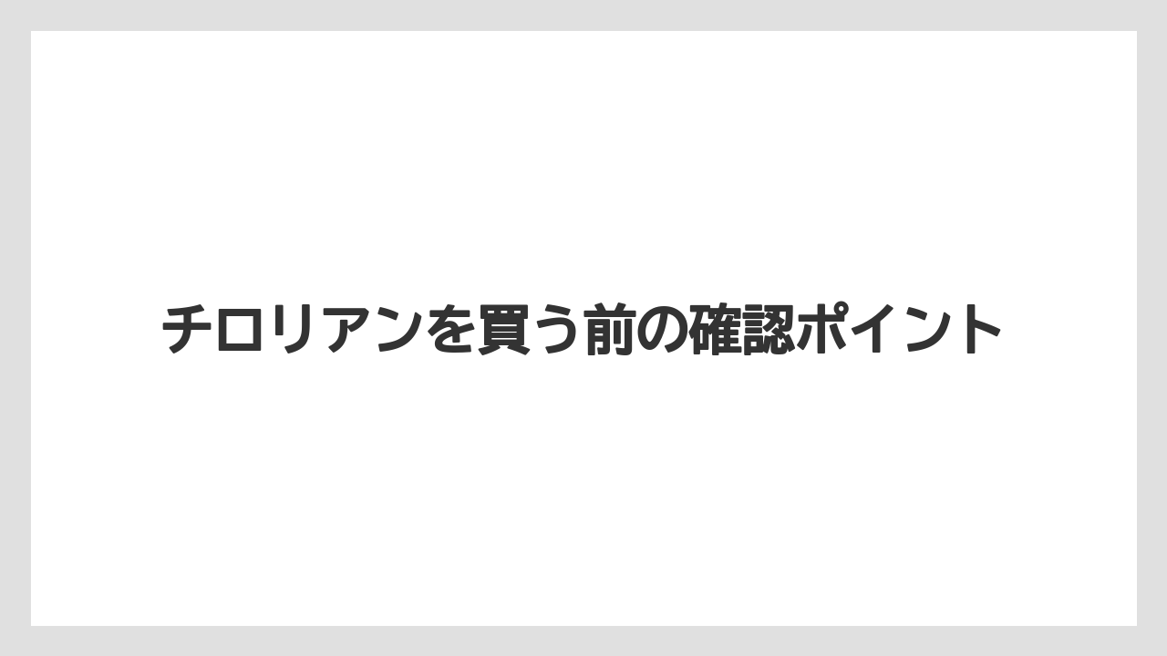 【リゾート】【宿泊】【旅】チロリアンを買う前の確認ポイント