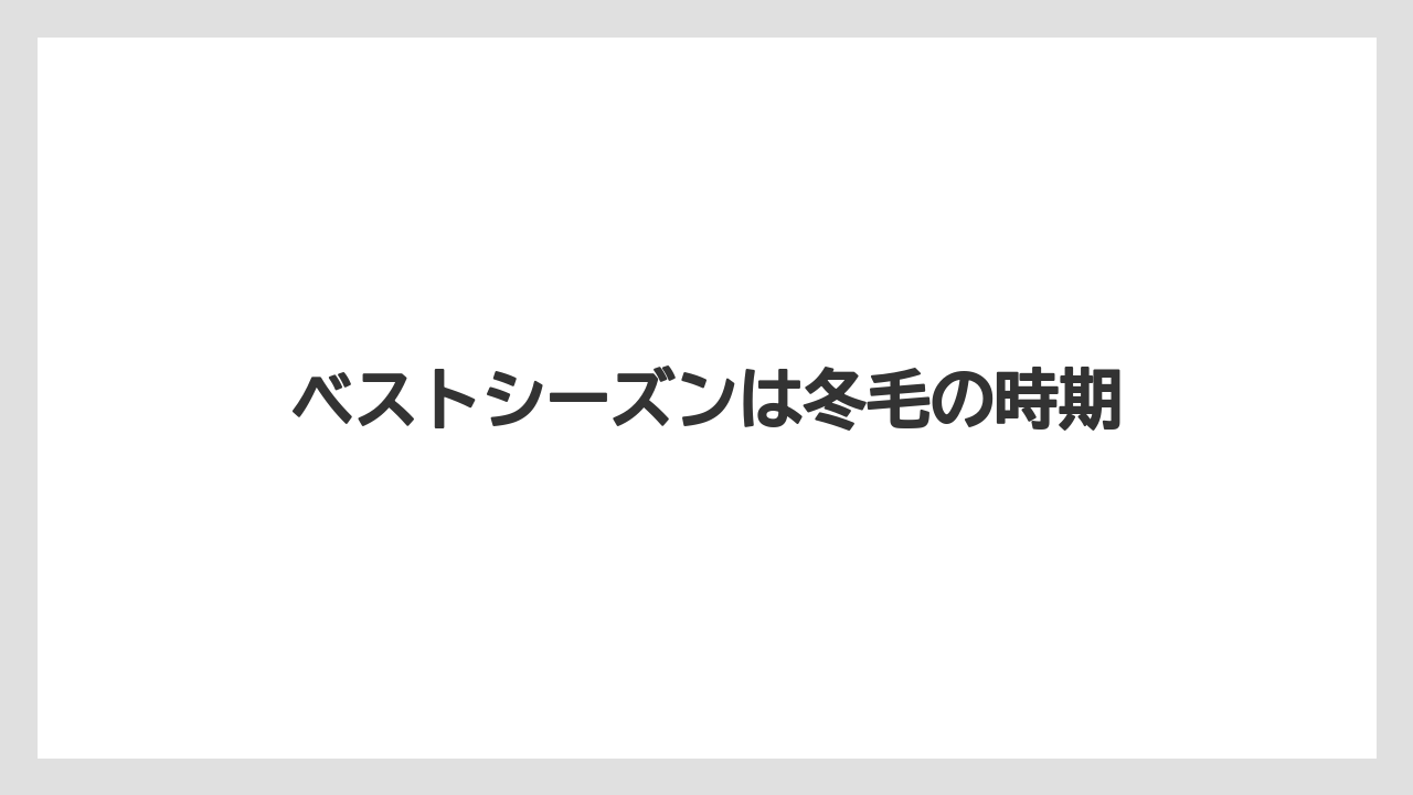 【お土産】【宿泊】【旅】ベストシーズンは冬毛の時期
