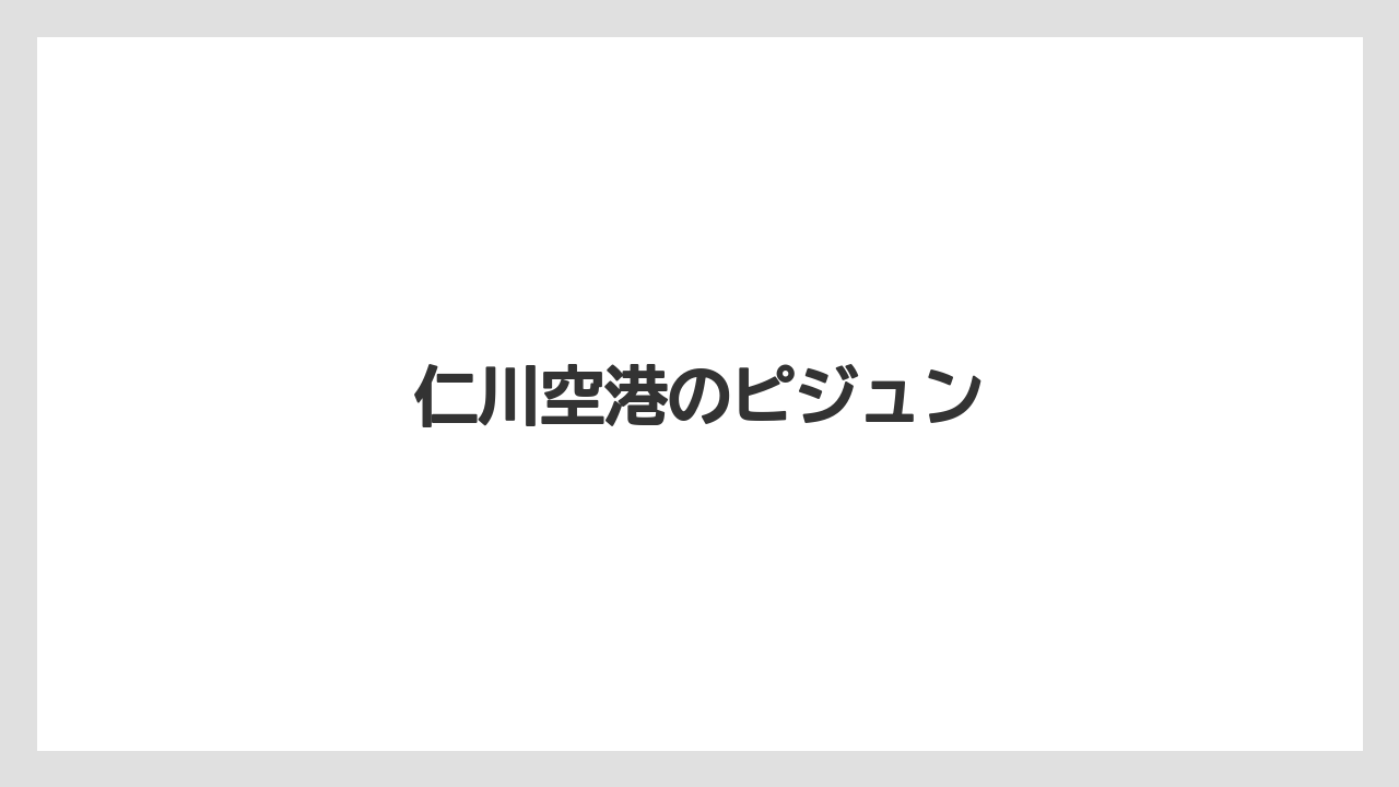 【お土産】【宿泊】【手土産】【旅】仁川空港のピジュン