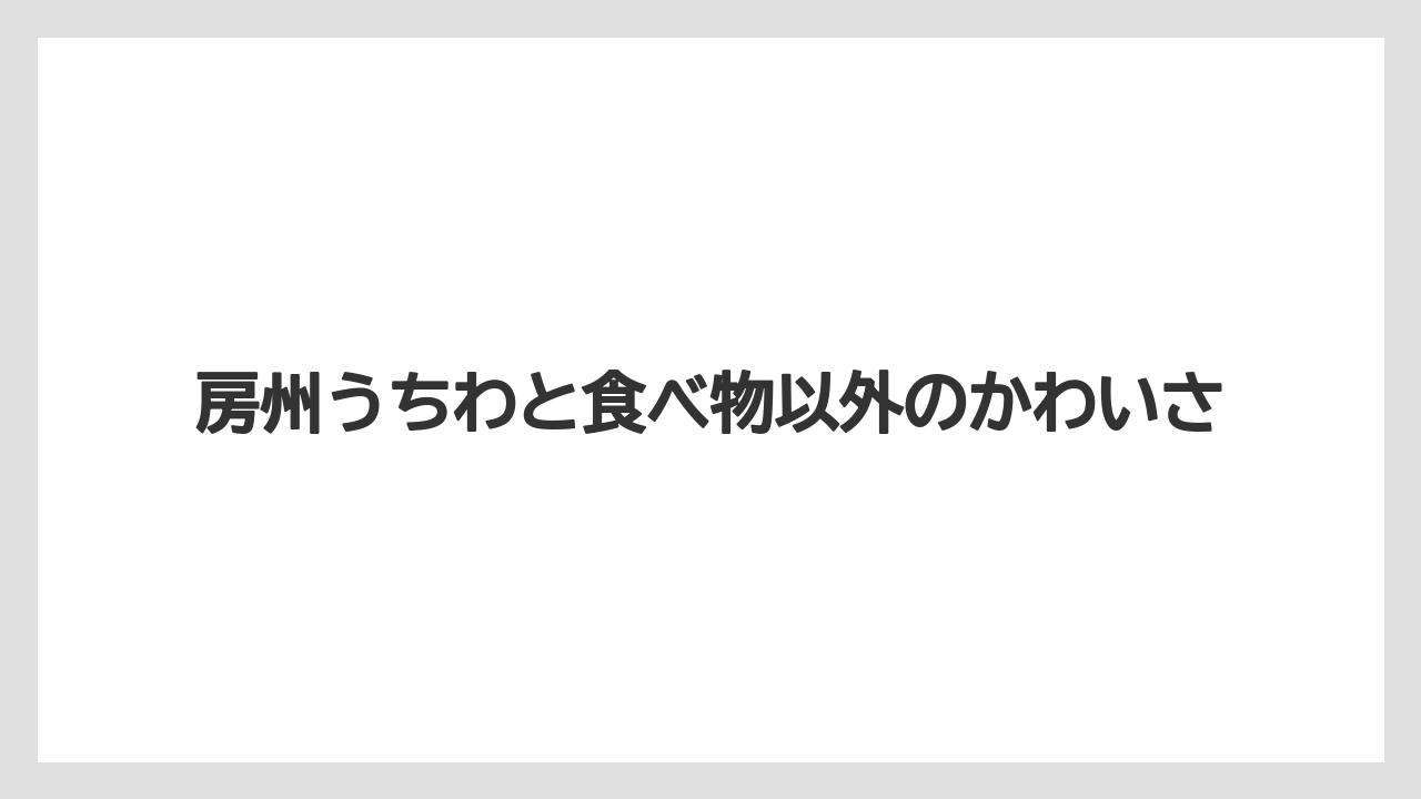 【リゾート】【宿泊】【旅】房州うちわと食べ物以外のかわいさ
