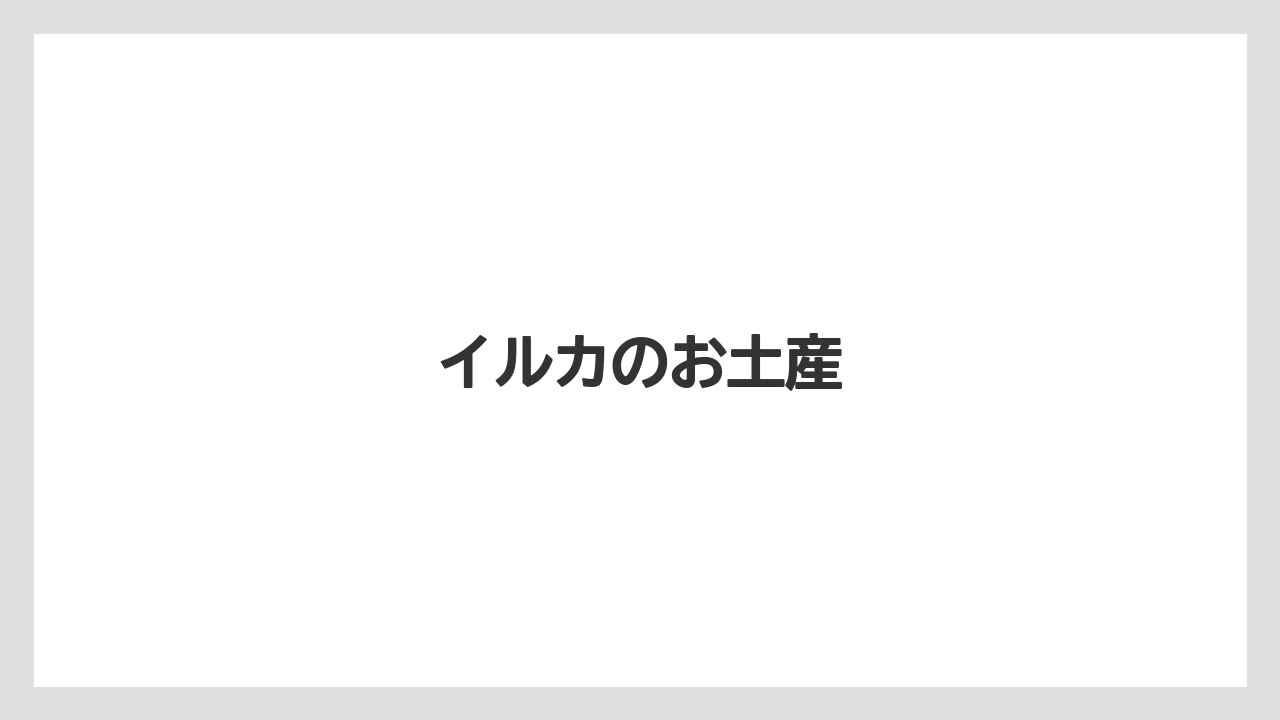 【お土産】【宿泊】【手土産】【旅】イルカのお土産