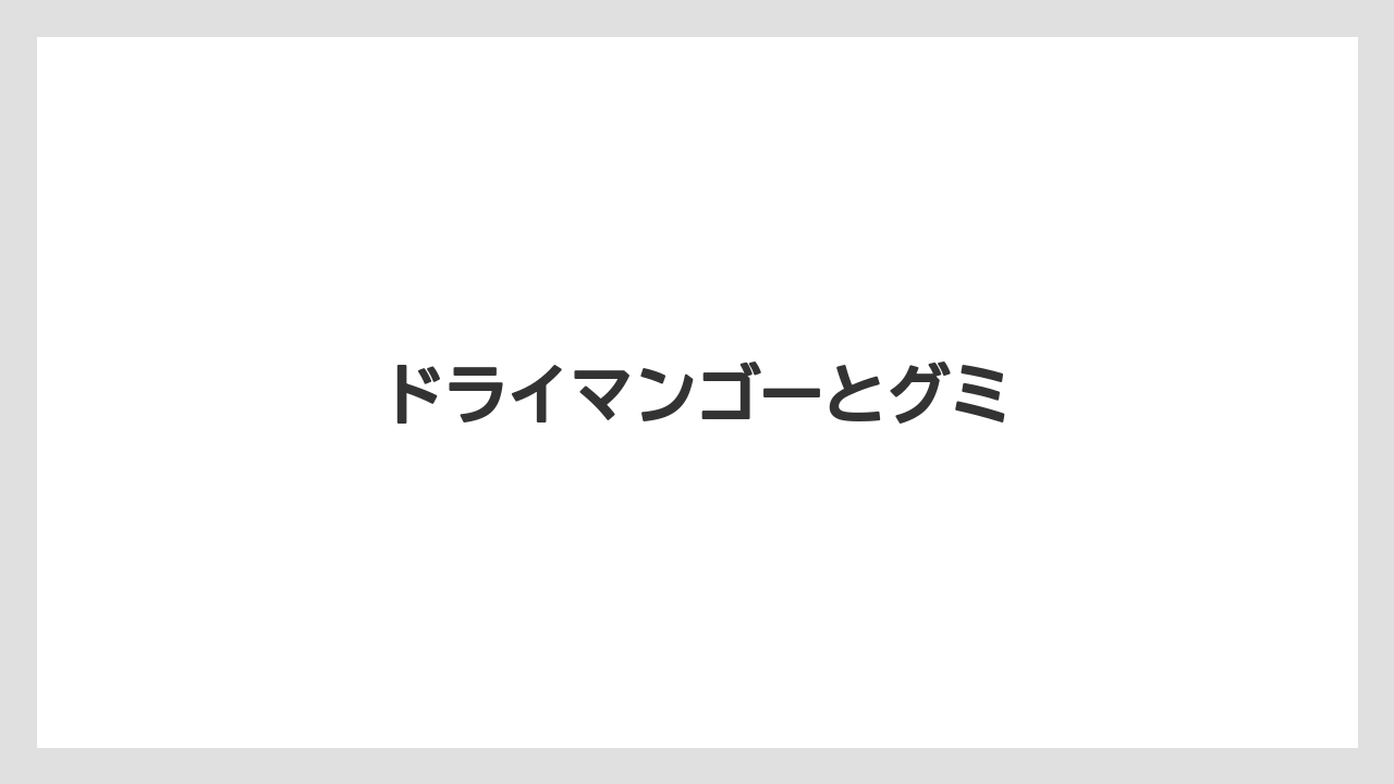 【お土産】【宿泊】【旅】ドライマンゴーとグミ