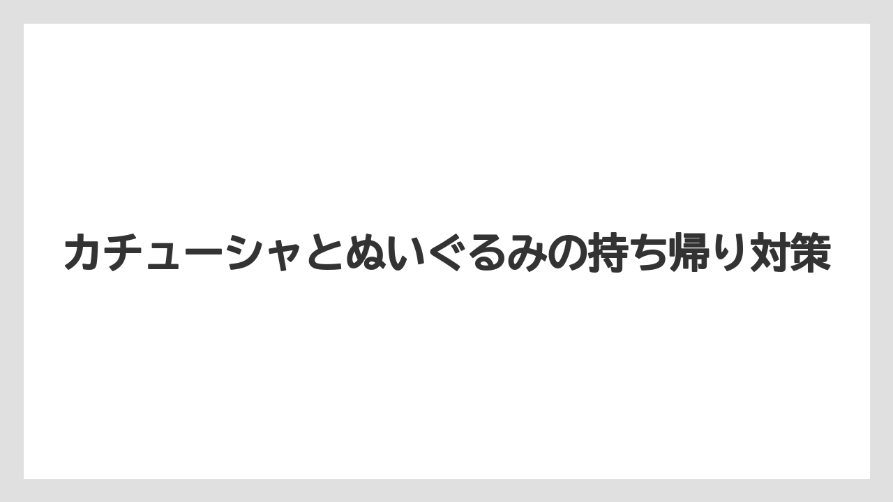 【リゾート】【宿泊】【旅】カチューシャとぬいぐるみの持ち帰り対策