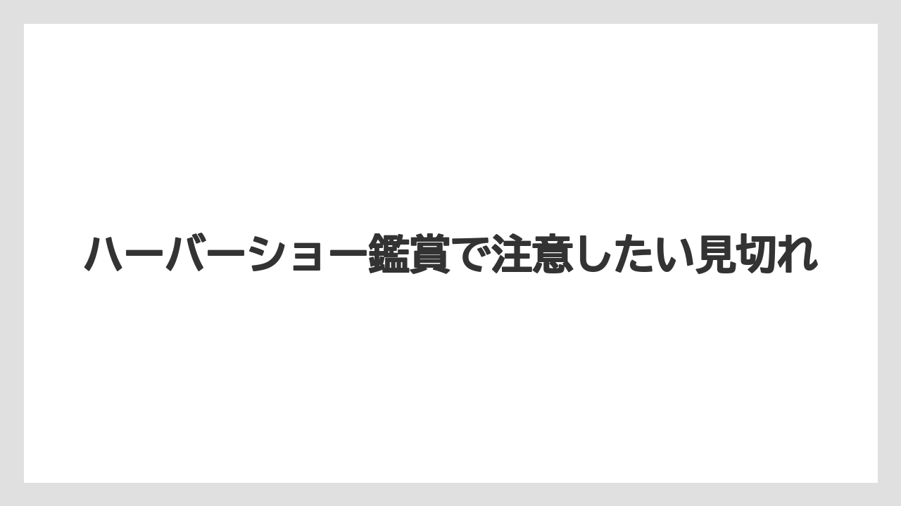 【ミラコスタ】【リゾート】【宿泊】ハーバーショー鑑賞で注意したい見切れ
