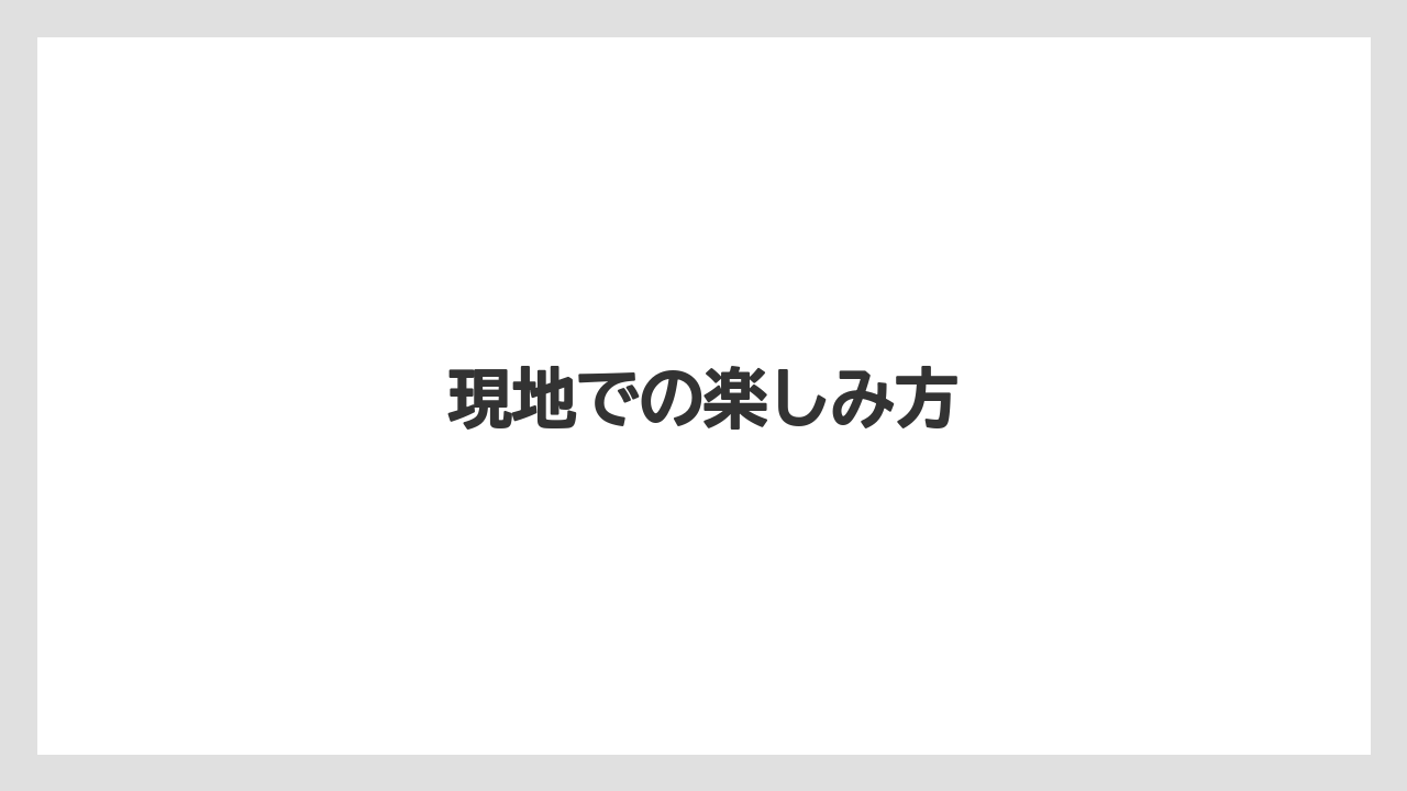 【リゾート】【宿泊】【旅】現地での楽しみ方