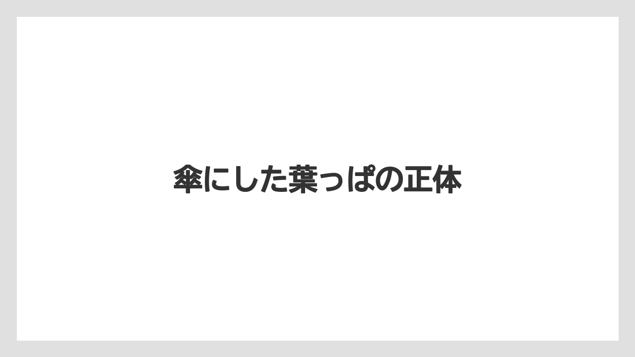 【お土産】【宿泊】【旅】傘にした葉っぱの正体