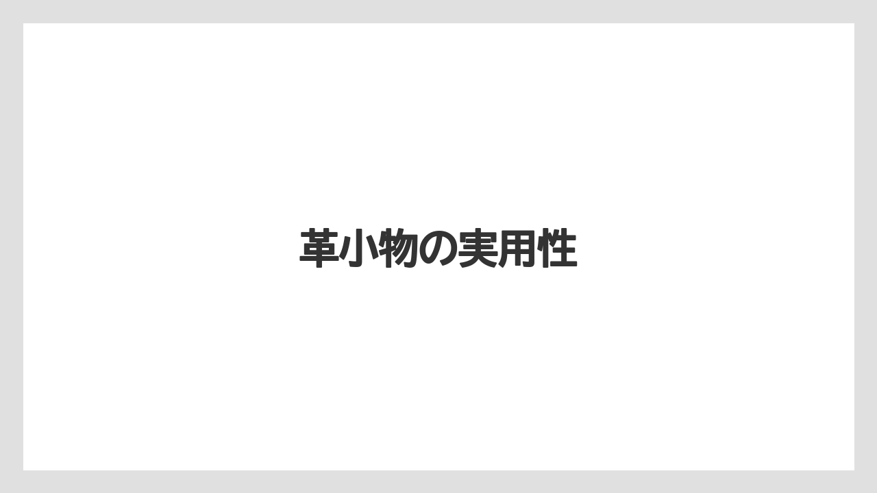 【リゾート】【宿泊】【旅】革小物の実用性