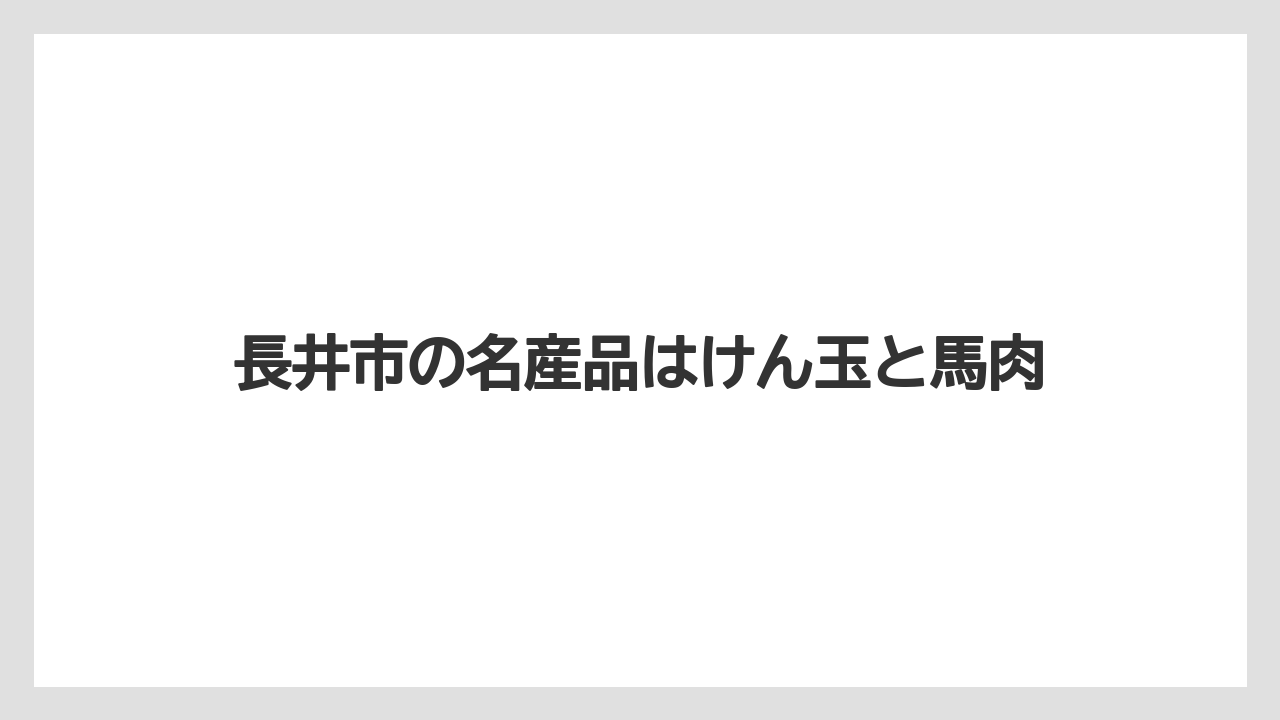 【お土産】【ご当地】【名産】【手土産】【特産】長井市の名産品はけん玉と馬肉