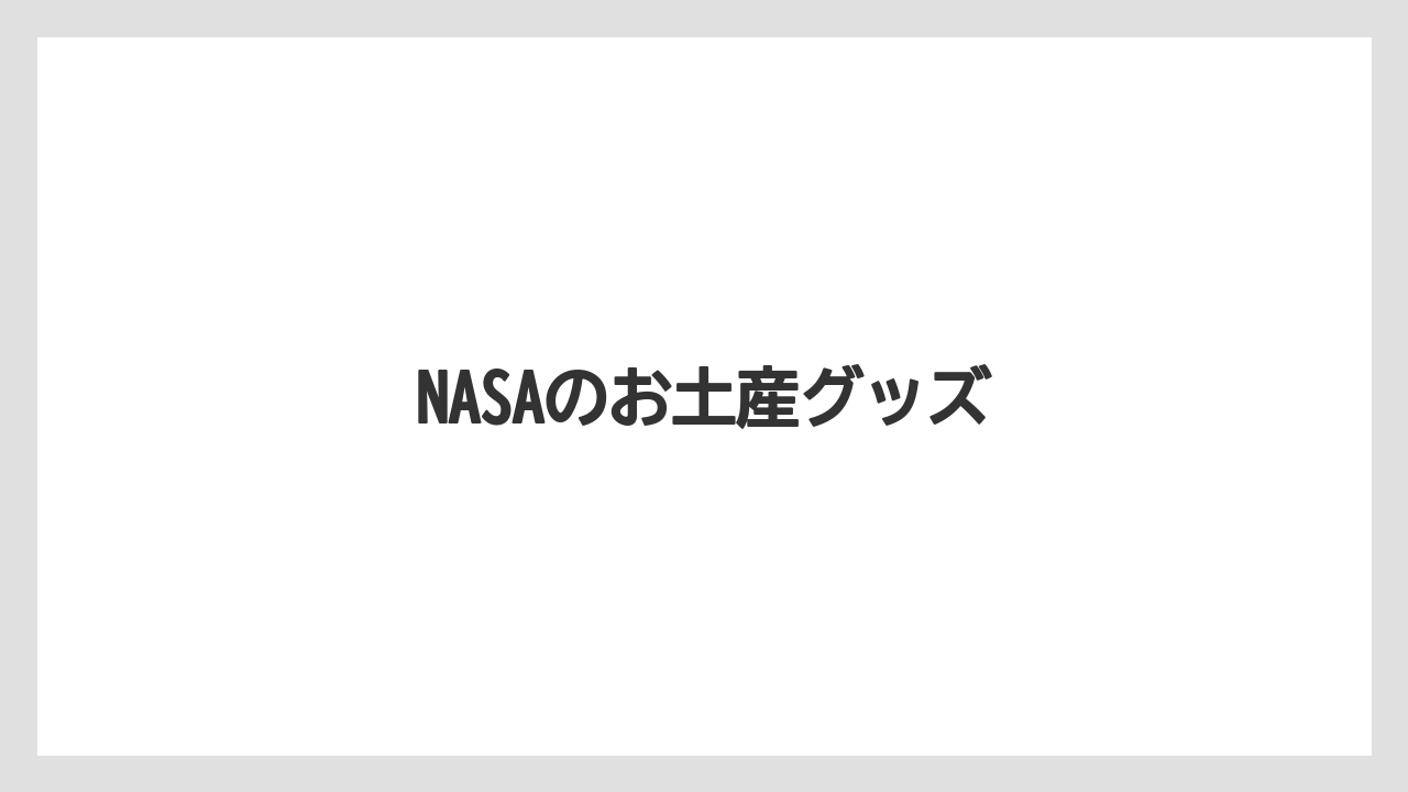 【お土産】【宿泊】【旅】NASAのお土産グッズ