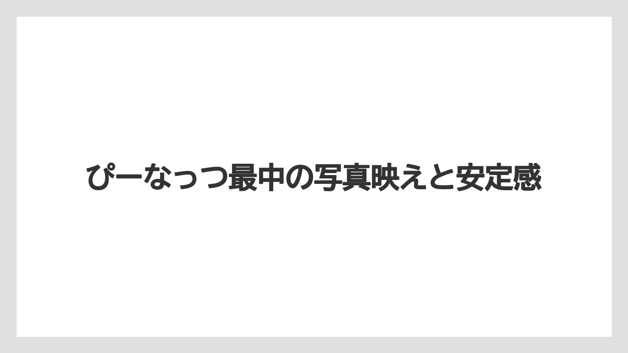 【リゾート】【宿泊】【旅】ぴーなっつ最中の写真映えと安定感