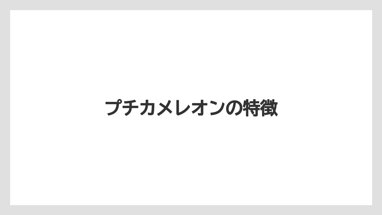 【お土産】【宿泊】【手土産】【旅】プチカメレオンの特徴