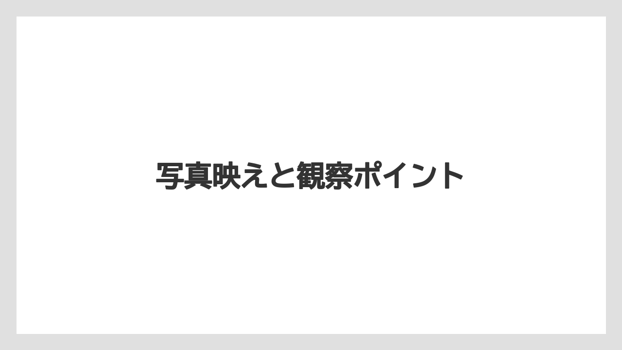 【リゾート】【宿泊】【旅】写真映えと観察ポイント