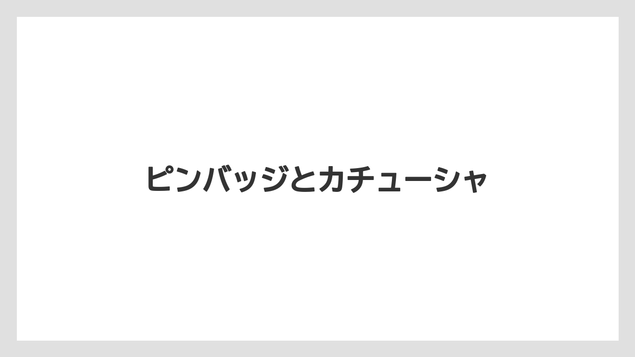 【お土産】【リゾート】【宿泊】ピンバッジとカチューシャ