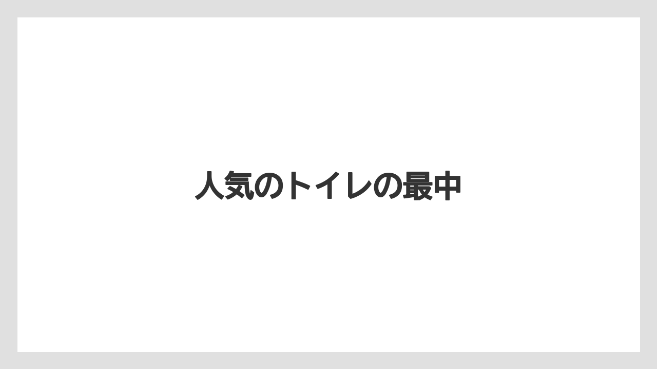 【お土産】【宿泊】【手土産】【旅】人気のトイレの最中