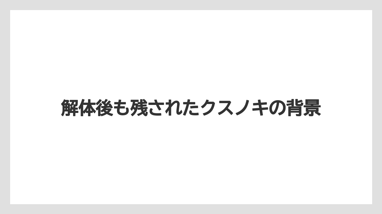 【リゾート】【宿泊】【旅】解体後も残されたクスノキの背景