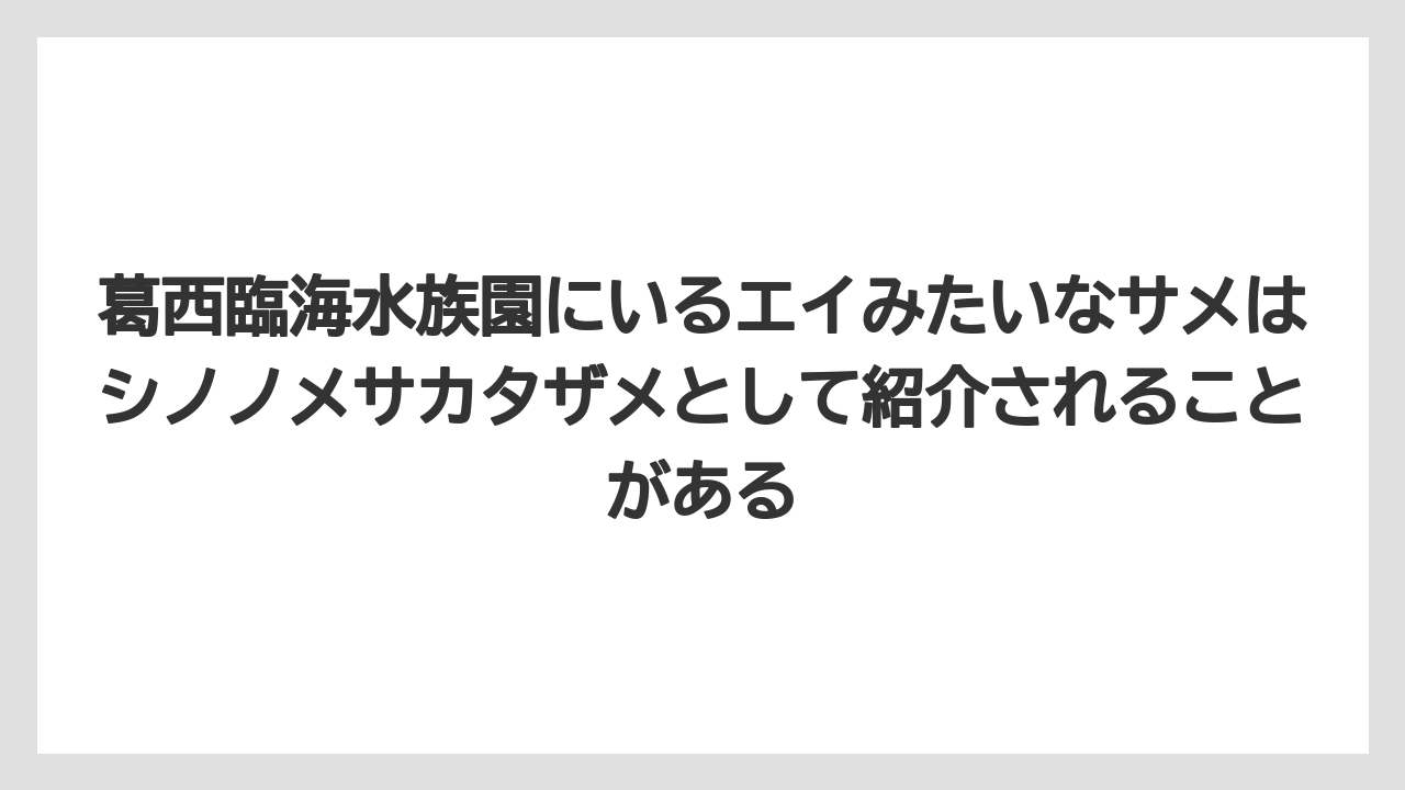 【リゾート】【宿泊】【旅】葛西臨海水族園にいるエイみたいなサメはシノノメサカタザメとして紹介されることがある
