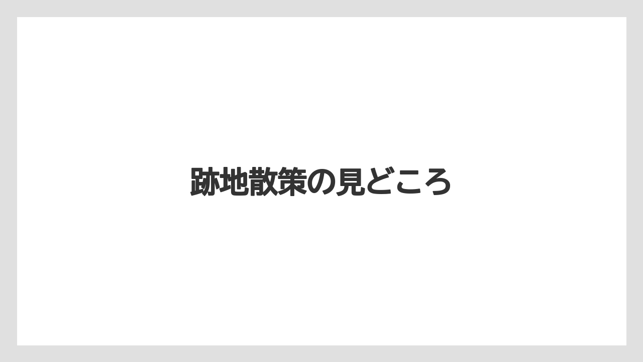 【リゾート】【宿泊】【旅】跡地散策の見どころ