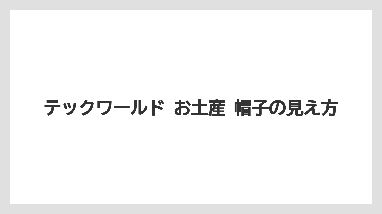 【リゾート】【宿泊】【旅】テックワールド お土産 帽子の見え方