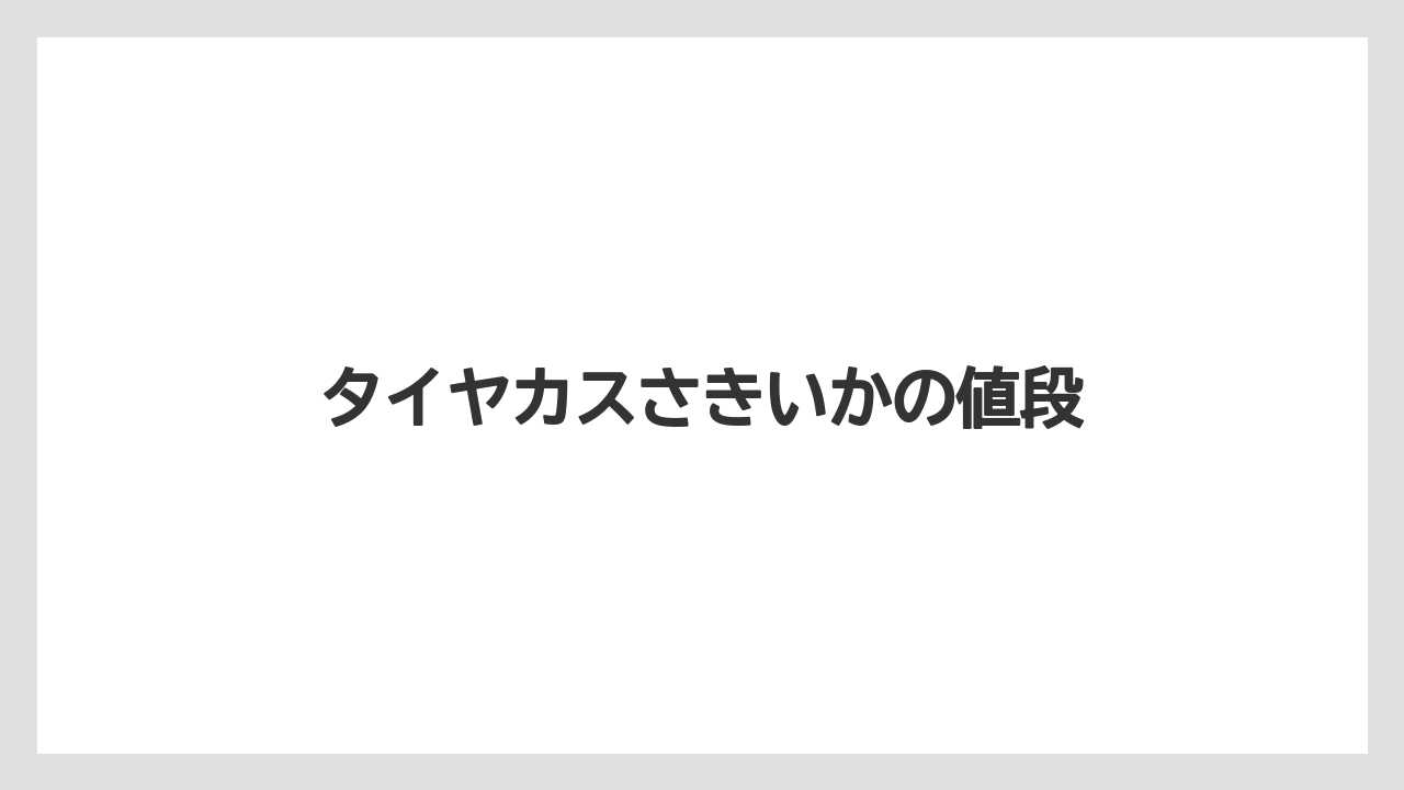 【お土産】【宿泊】【手土産】【旅】【特産】タイヤカスさきいかの値段