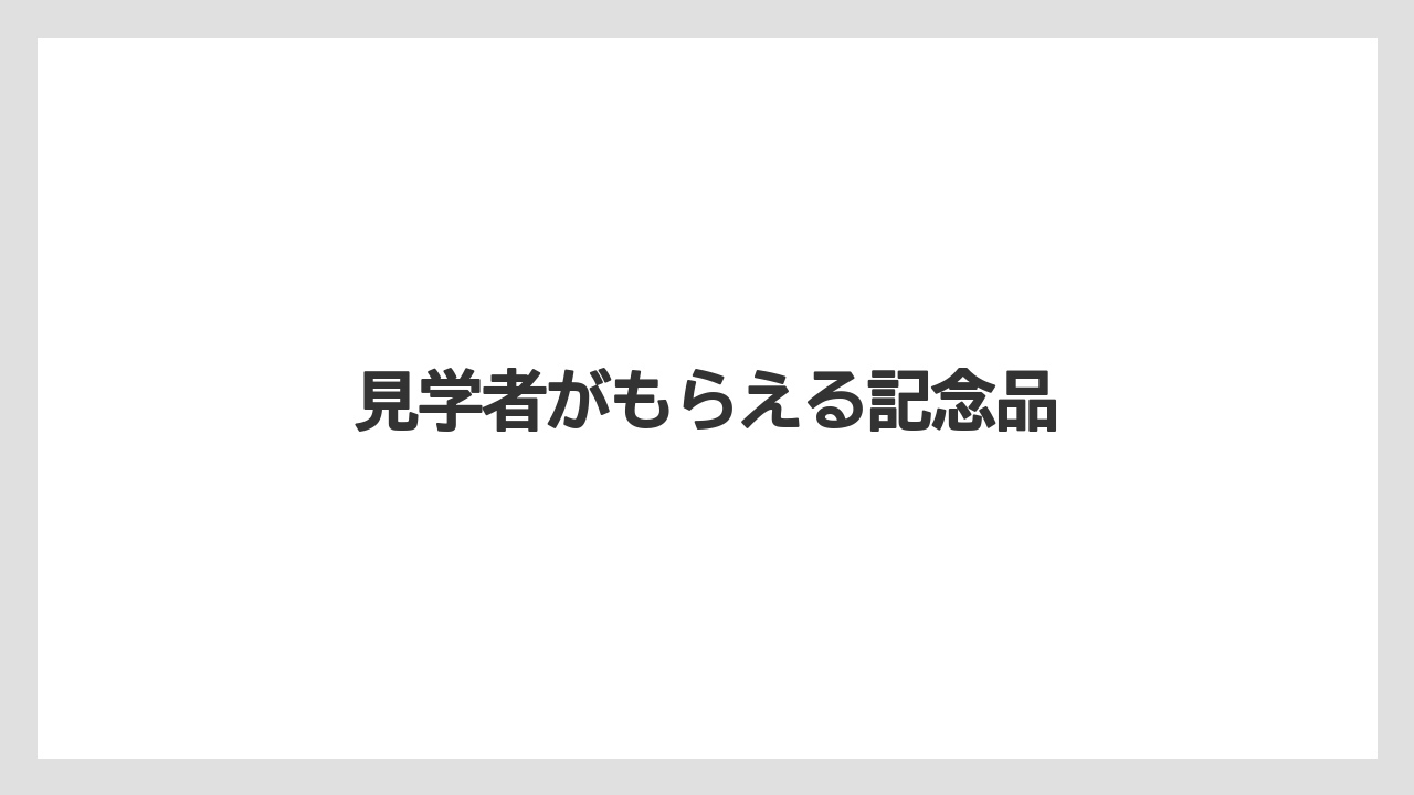 【お土産】【宿泊】【手土産】【旅】見学者がもらえる記念品