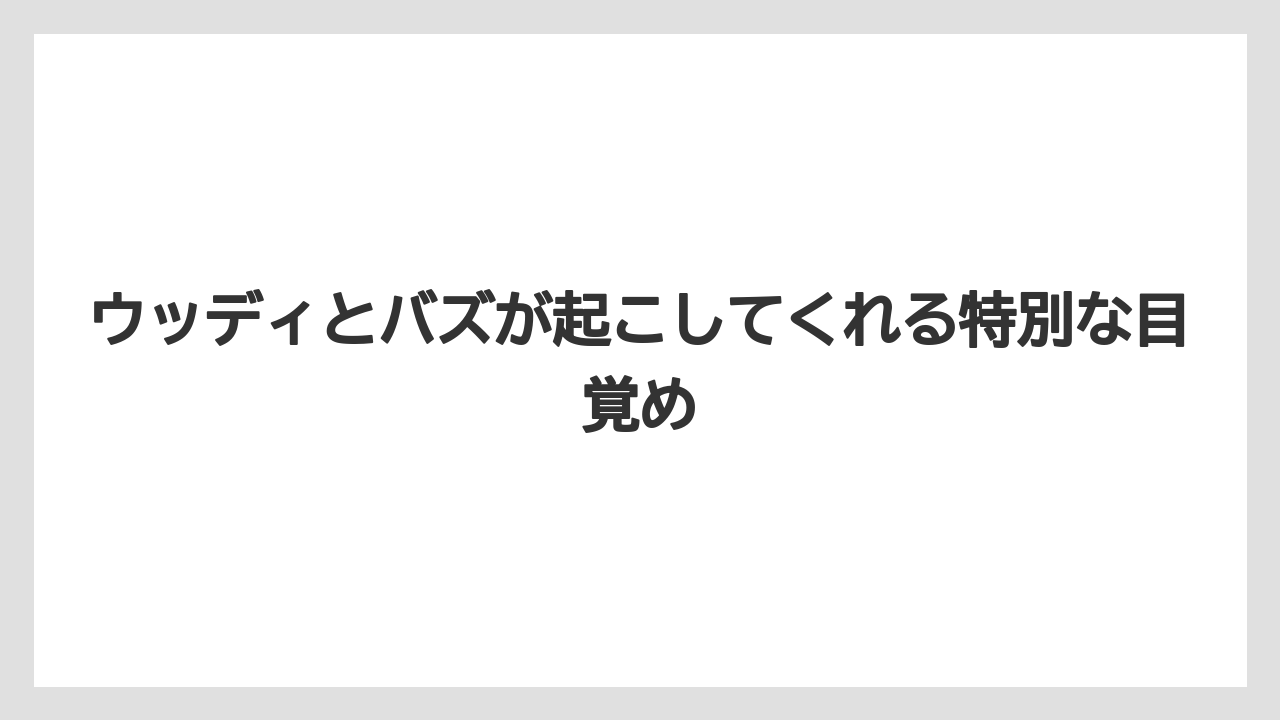 【トイストーリーホテル】【リゾート】【宿泊】ウッディとバズが起こしてくれる特別な目覚め