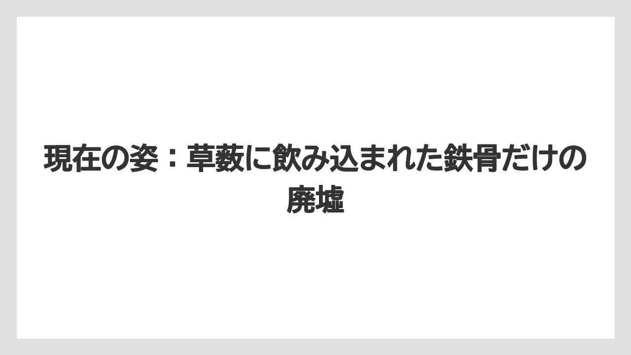【リゾート】【宿泊】【旅】現在の姿：草薮に飲み込まれた鉄骨だけの廃墟
