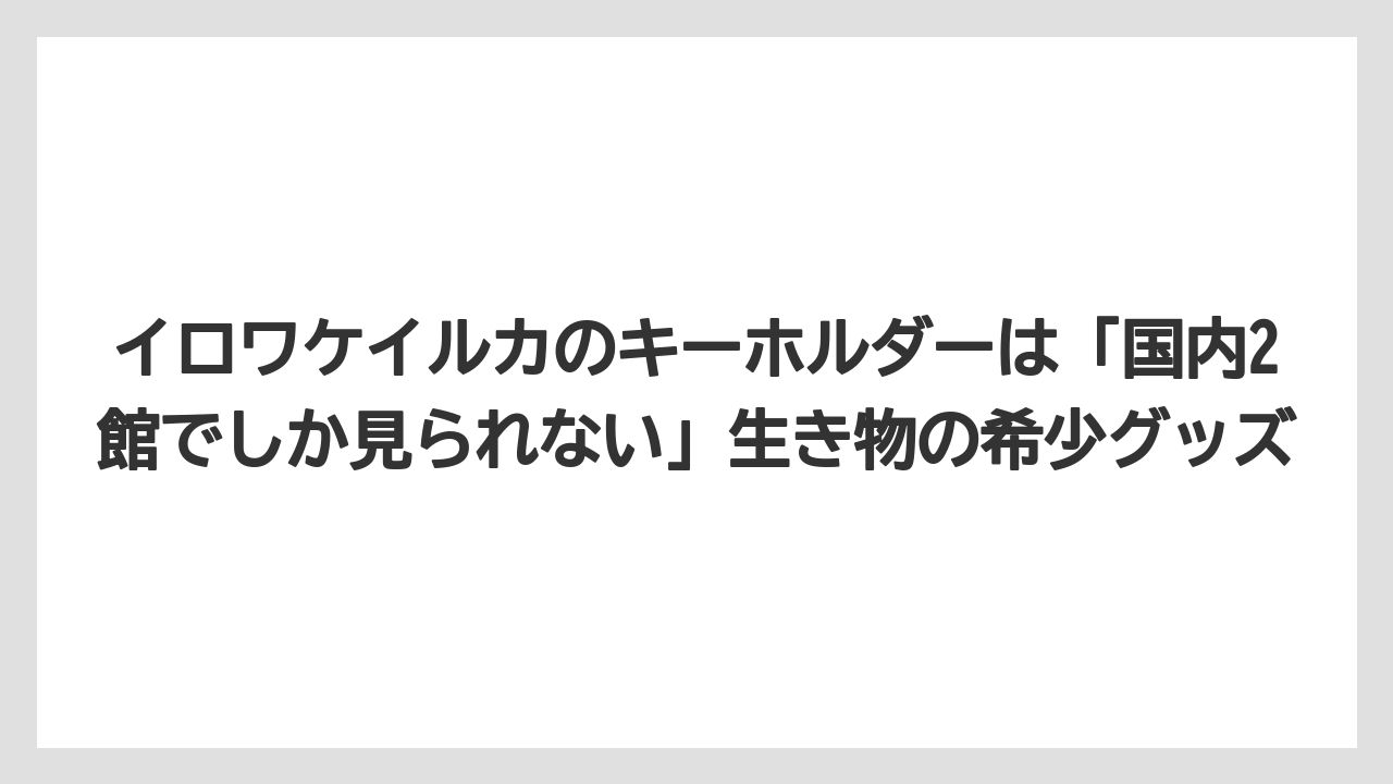 【リゾート】【宿泊】【旅】イロワケイルカのキーホルダーは「国内2館でしか見られない」生き物の希少グッズ