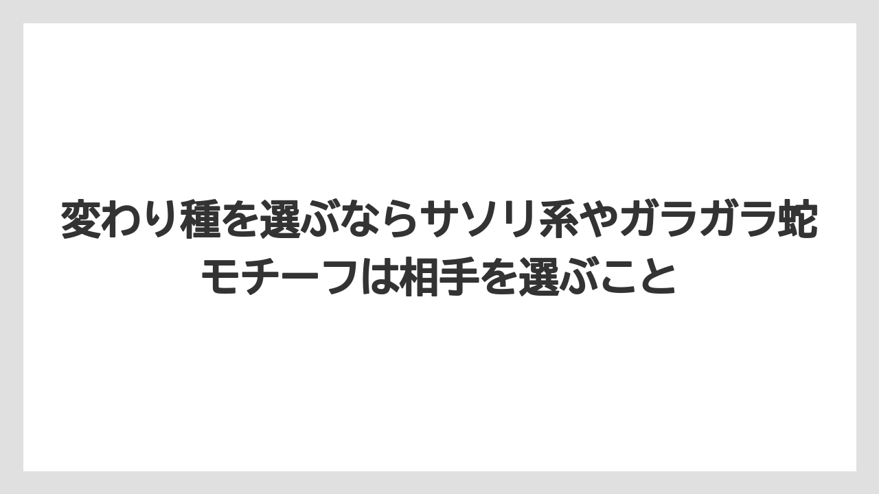 【リゾート】【宿泊】【旅】変わり種を選ぶならサソリ系やガラガラ蛇モチーフは相手を選ぶこと