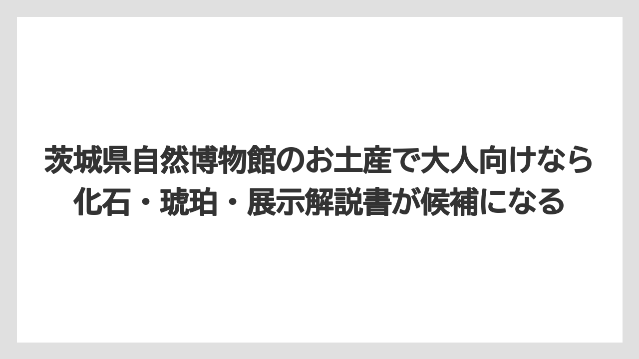 【リゾート】【宿泊】【旅】茨城県自然博物館のお土産で大人向けなら化石・琥珀・展示解説書が候補になる