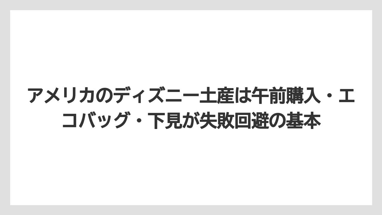 【リゾート】【宿泊】【旅】アメリカのディズニー土産は午前購入・エコバッグ・下見が失敗回避の基本